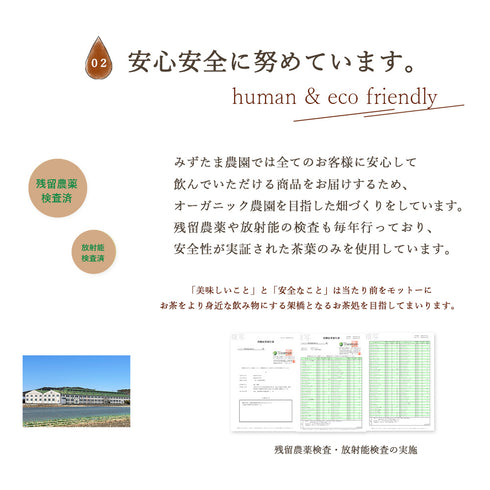 ゴクゴクすっきり ほうじ茶ティーバッグ 1.5g×100p